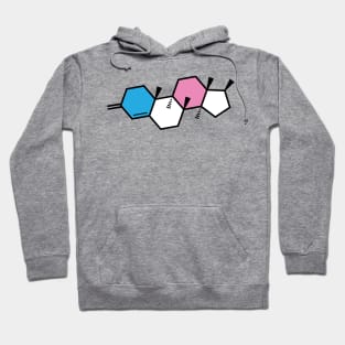 Trans Testosterone Hoodie